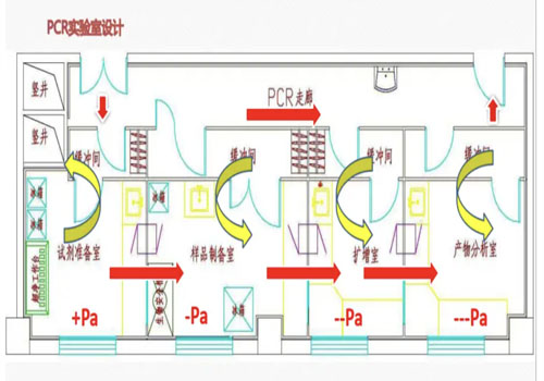 樣本物流圖.jpg