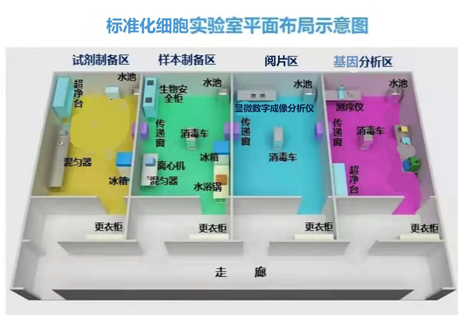 標準化細胞實驗室平面布局圖