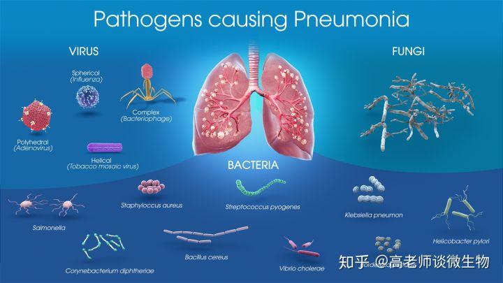 P2病原微生物實(shí)驗(yàn)室