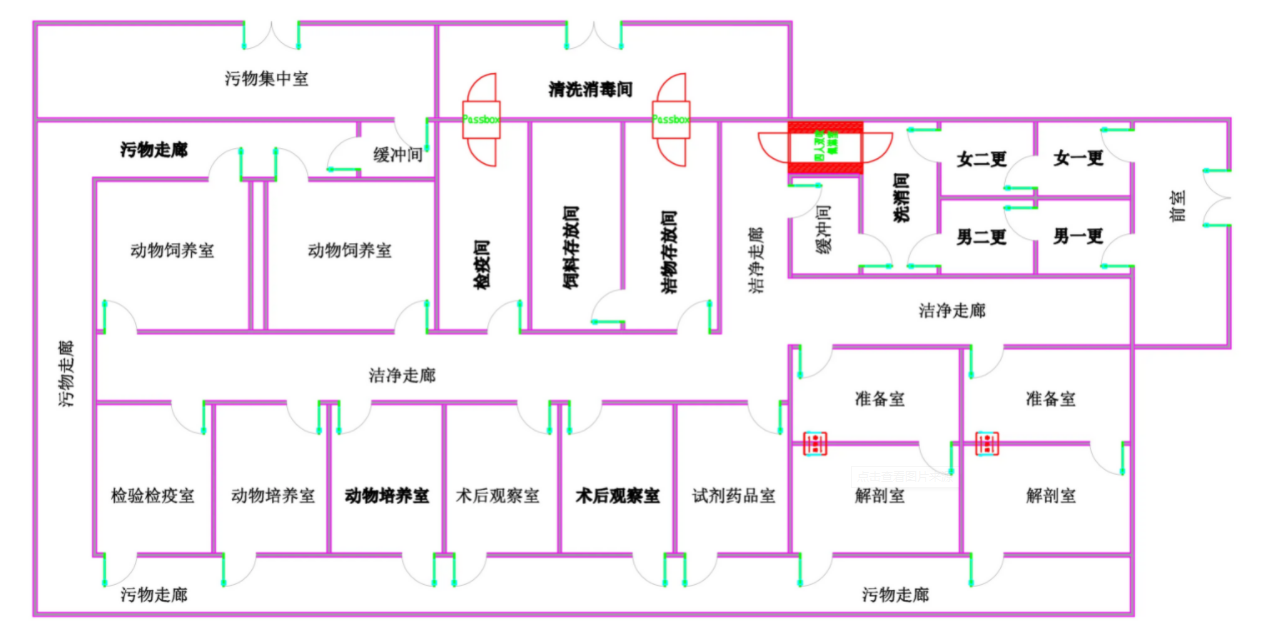 動物實驗室平面布局圖