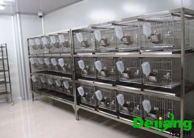 動物實驗室