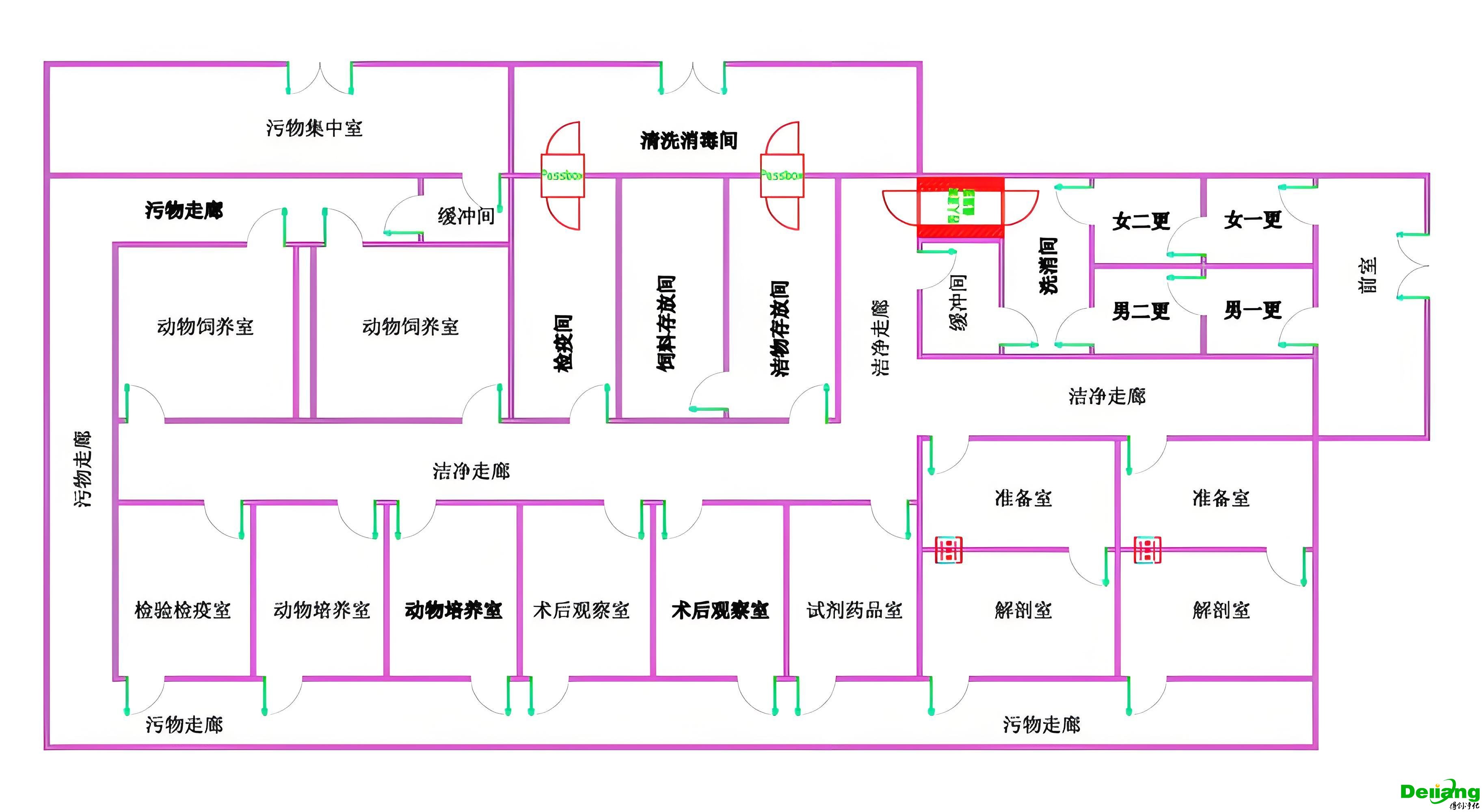 SPF動物實驗室功能區布局圖