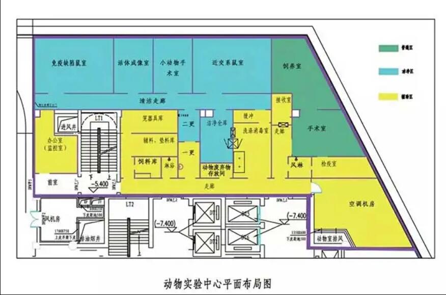 動物實驗室效果圖
