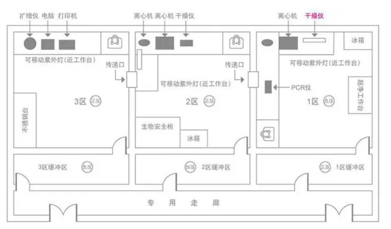 PCR實驗室效果圖